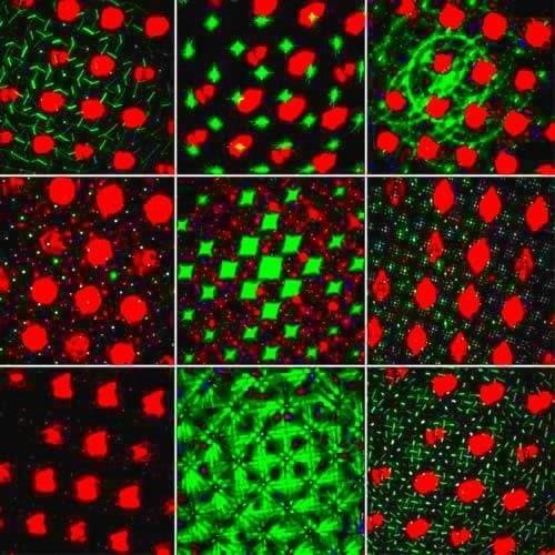 Диско шар купить